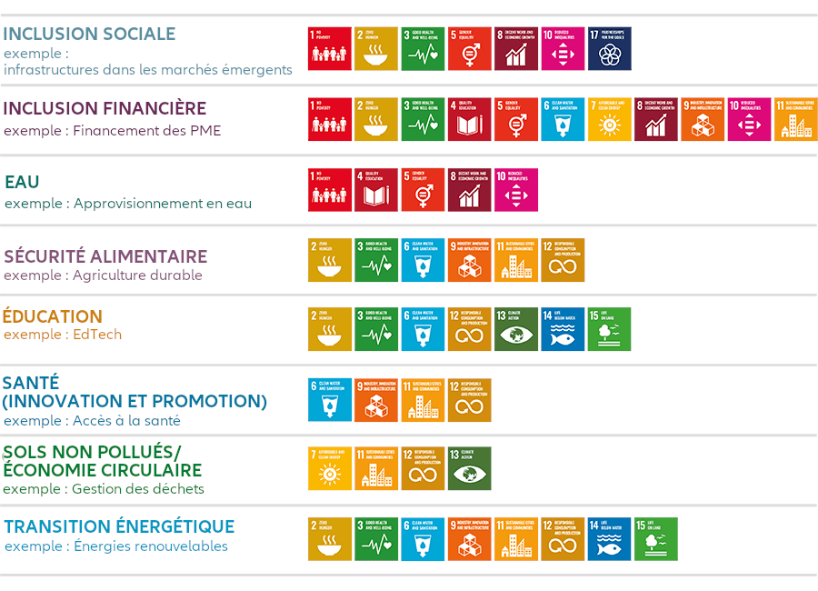 SDG Global Thematic Equity table